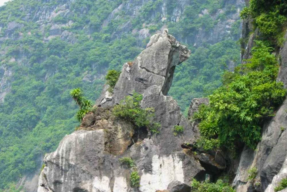Rocher du Chien de pierre dans la baie d'Ha Long